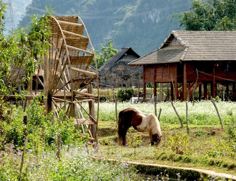 19012017pttruc19.jpg (407 KB)