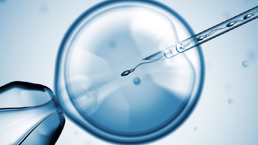 ivf.jpeg (77 KB)