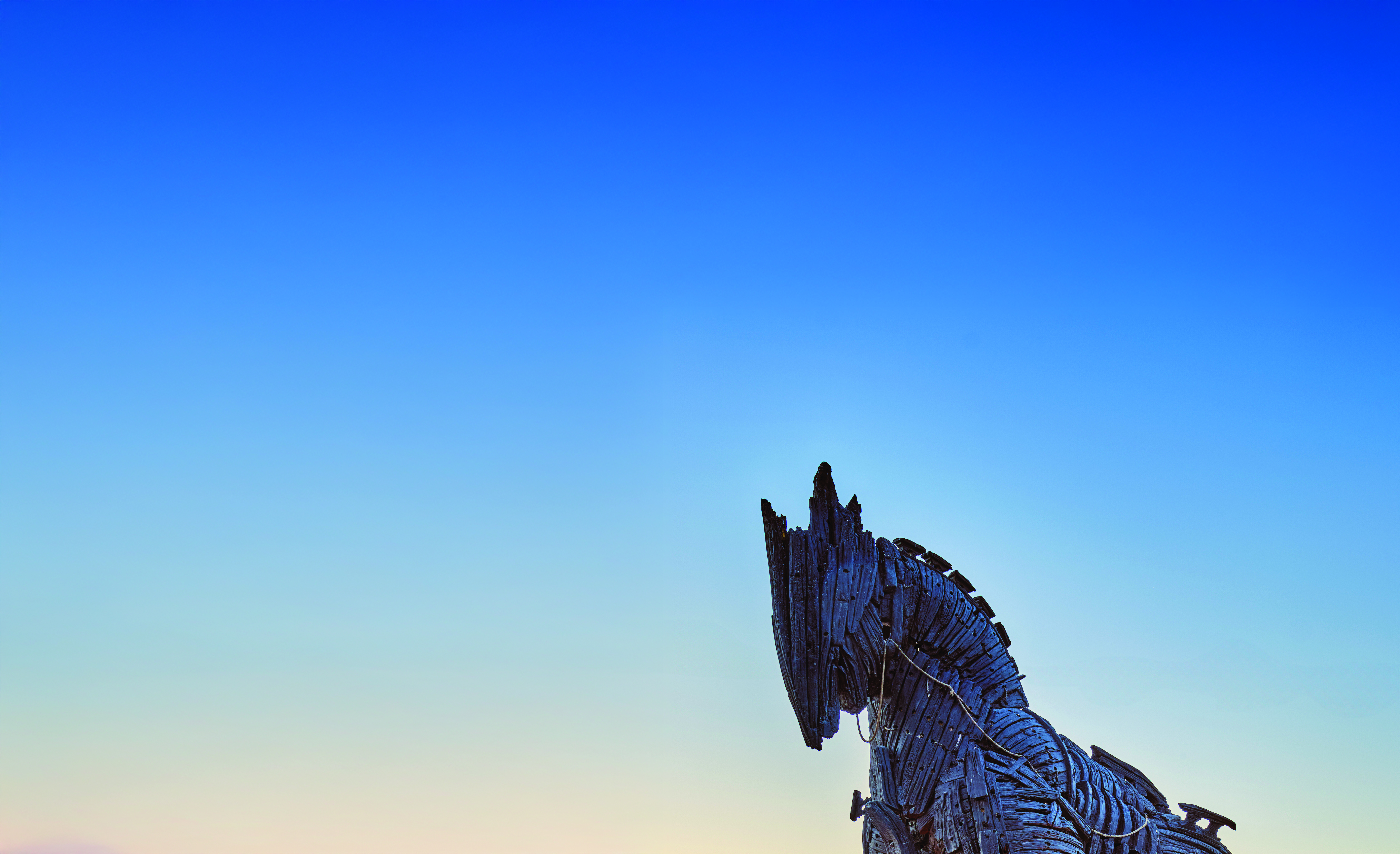 2165973.jpg (13.08 MB)