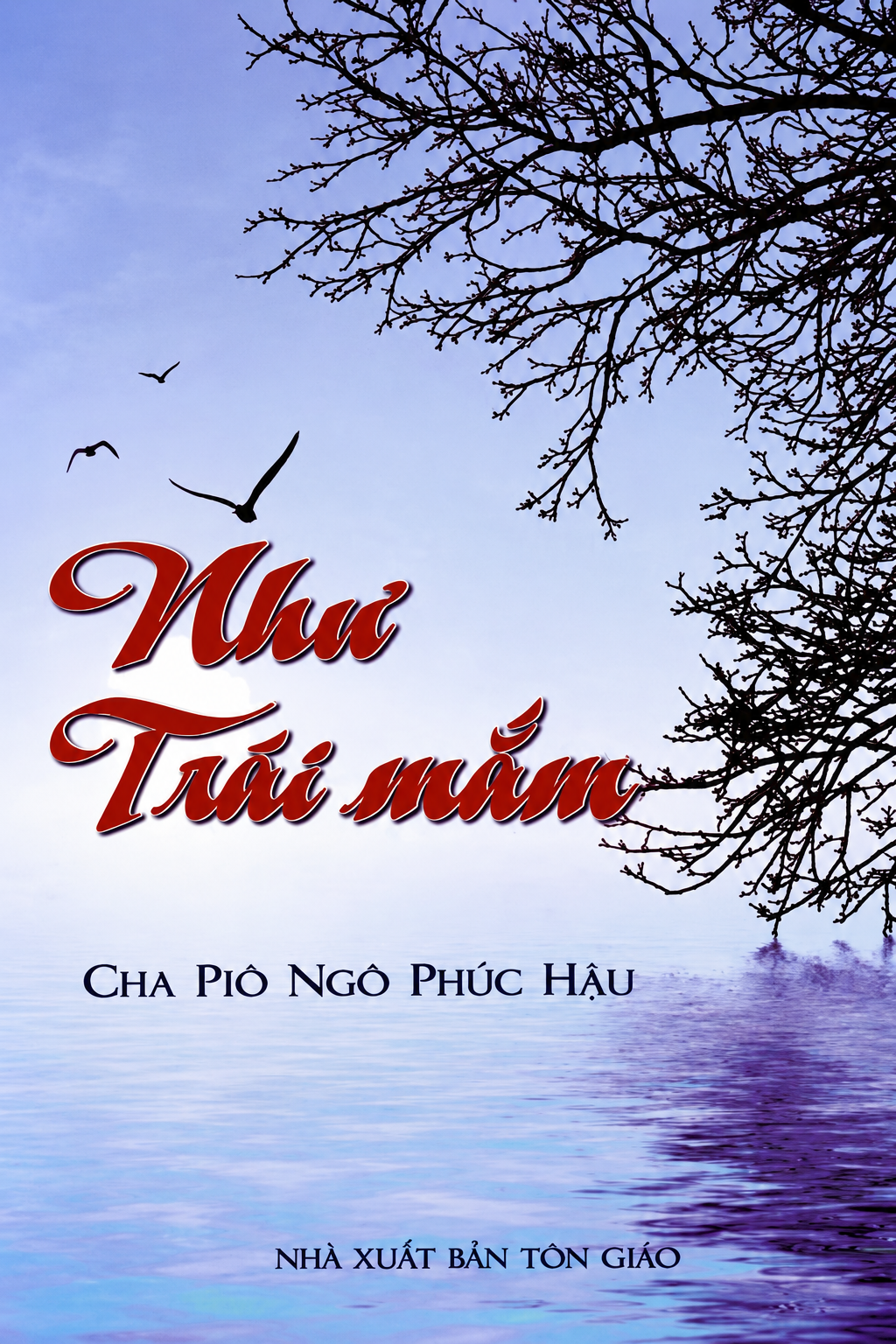 Sach nhu trai mam.png (2.26 MB)