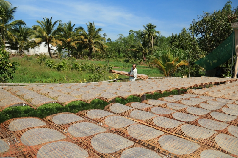 Thơm lừng hương bánh đa dân dã