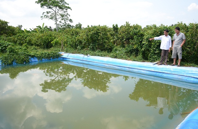 Hòa Hưng
