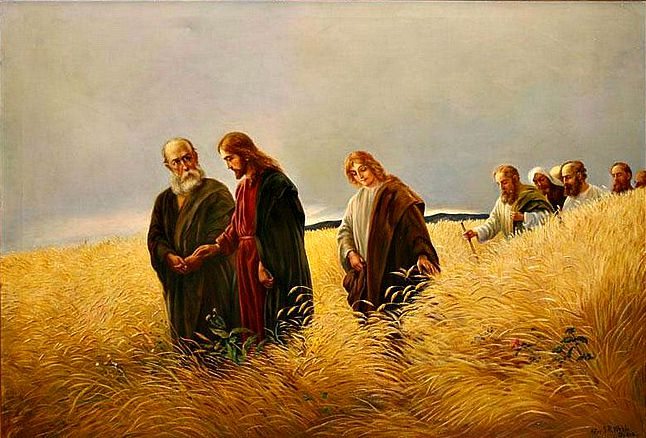 Lc 6: 1-5 - GIÁO PHẬN PHÚ CƯỜNG