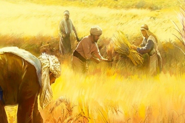 Chia sẻ Lời Chúa Lễ Khánh Nhật Truyền Giáo 2019
