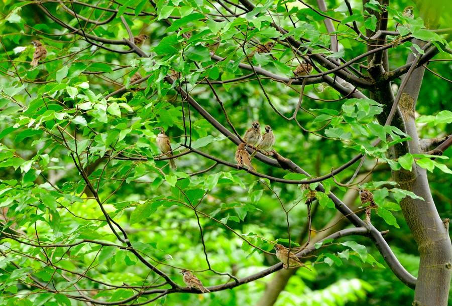 Hạnh phúc bình dị