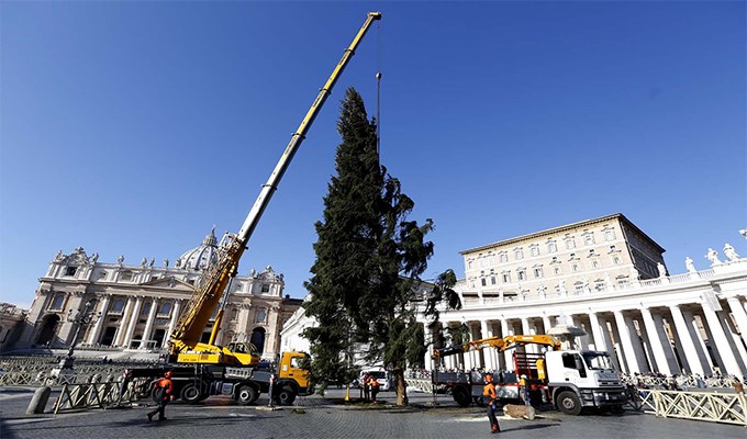 Khai mạc sớm cây thông Giáng sinh ở Vatican