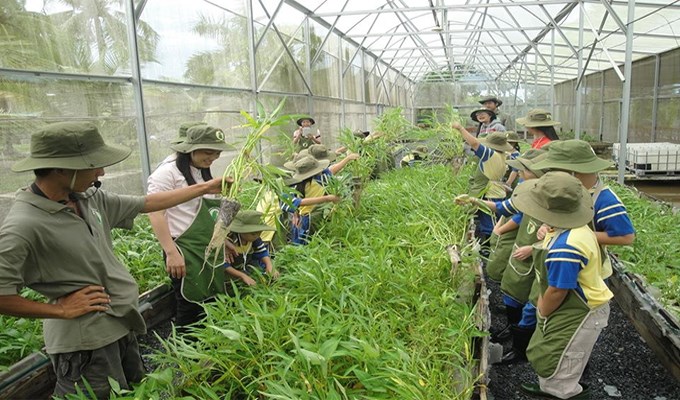 Không chỉ đơn thuần là nông trại...