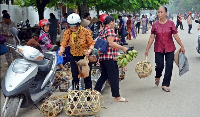 Hiếu...