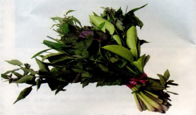 Nồi nước xông nghĩa tình