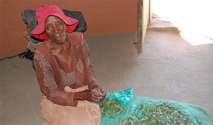 Đức Phanxicô giúp Lesotho 400.000 USD
