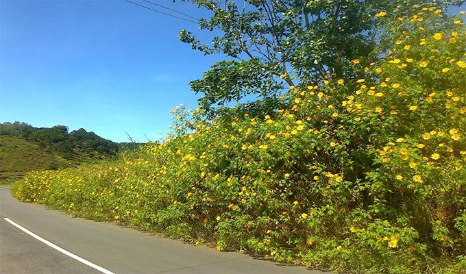 Quyến rũ thu Ðà Lạt