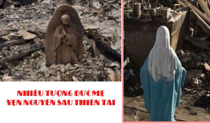 NHIỀU TƯỢNG ĐỨC MẸ VẸN NGUYÊN SAU THIÊN TAI