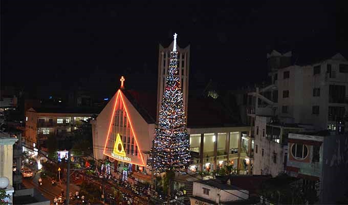 Ấn tượng từ những cây thông Noel