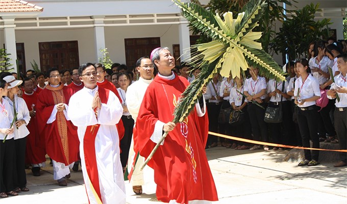 “Thông Vi Vu” đã về reo vui bên Tòa Chúa