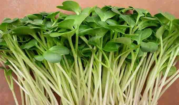 Những thực phẩm nên tránh khi mang thai