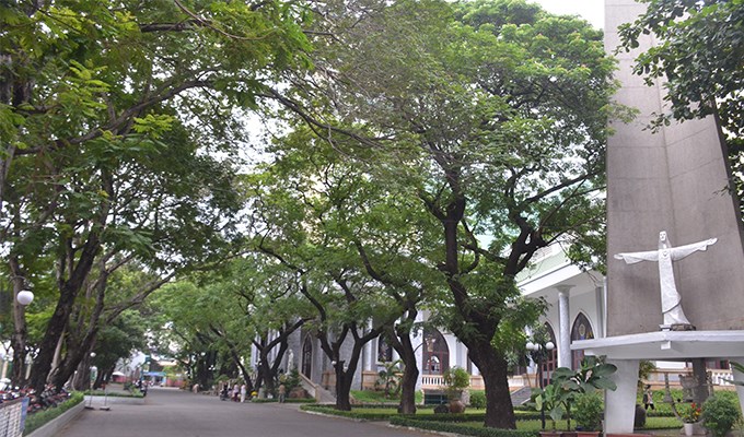 Ðể Nhà Chúa trở thành mái nhà chung