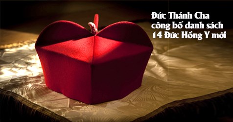Đức Thánh Cha công bố danh sách 14 Đức Hồng y mới