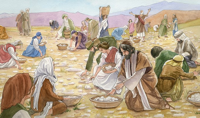 Manna