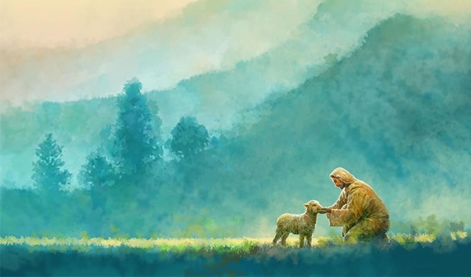 Tôi đã thấy Chúa Giêsu yêu thương và khiêm nhường