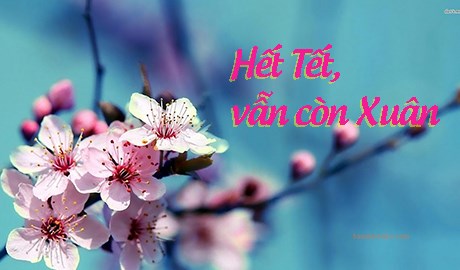 Hết Tết, vẫn còn Xuân