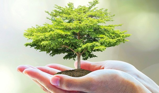 Bảo vệ môi trường