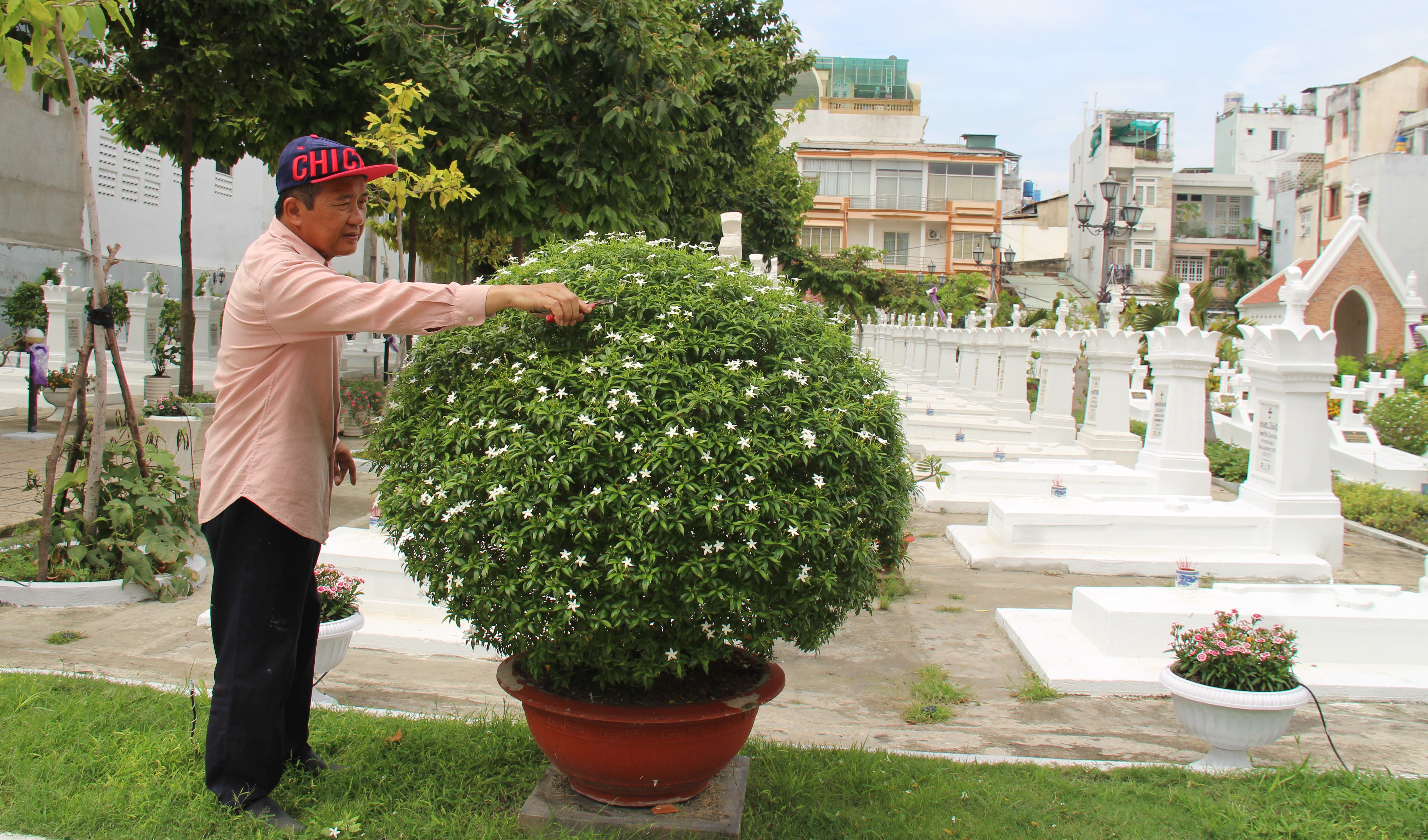 Những người coi sóc Ðất Thánh