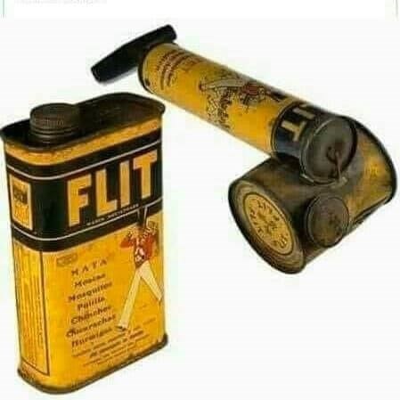 Món quà đặc biệt trong ký ức