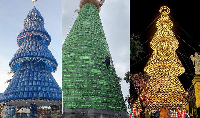 Những cây thông độc đáo nơi xóm đạo