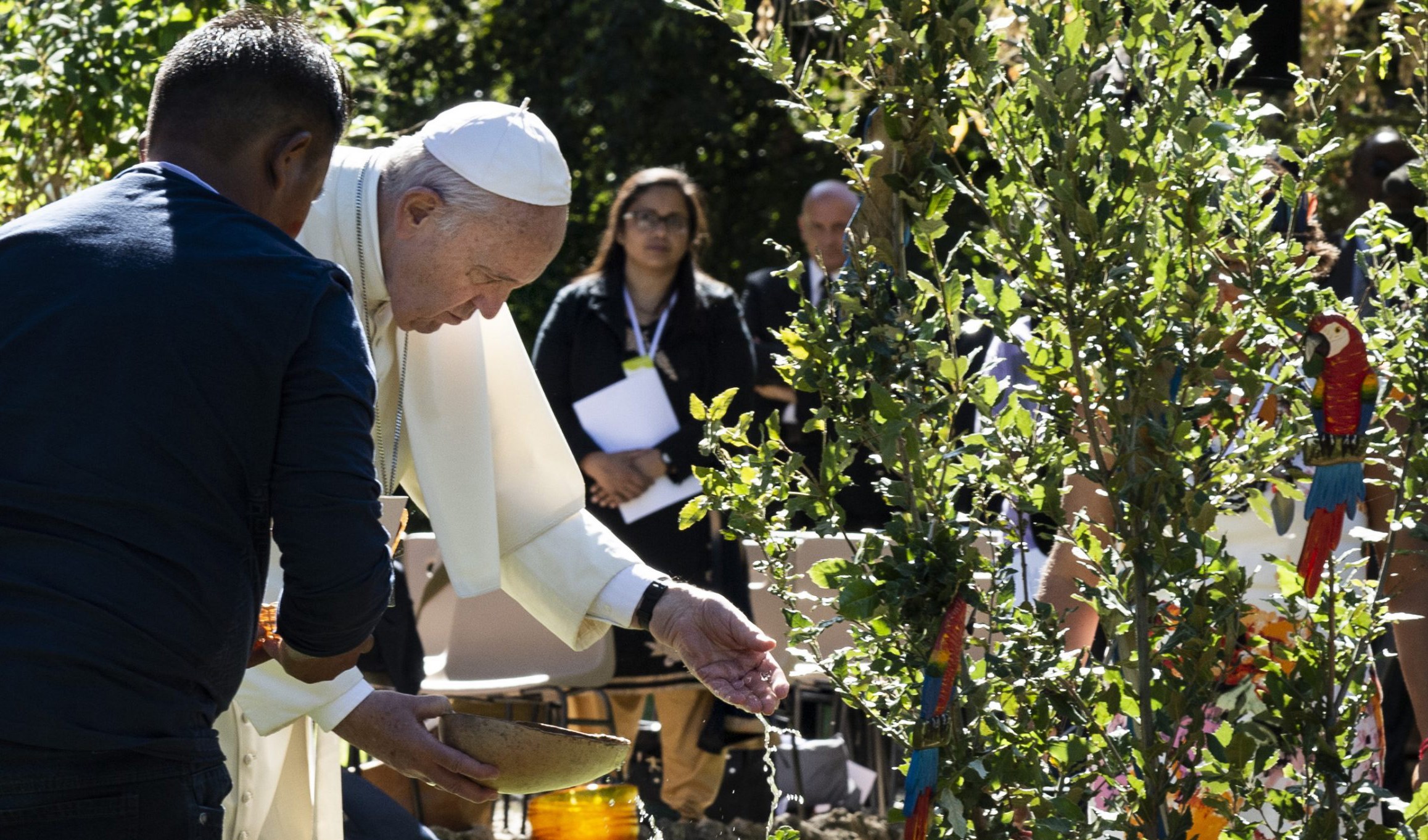 Tuần lễ Laudato Si’