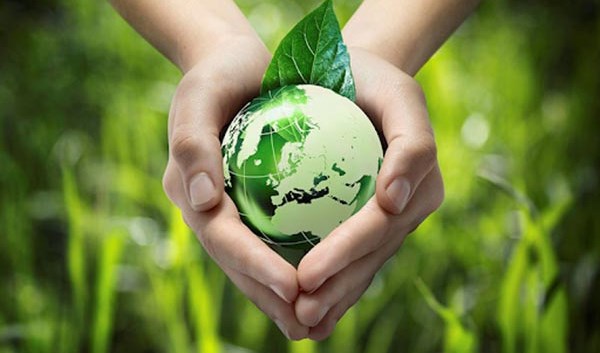 Cùng nhau hướng tới nền sinh thái toàn diện