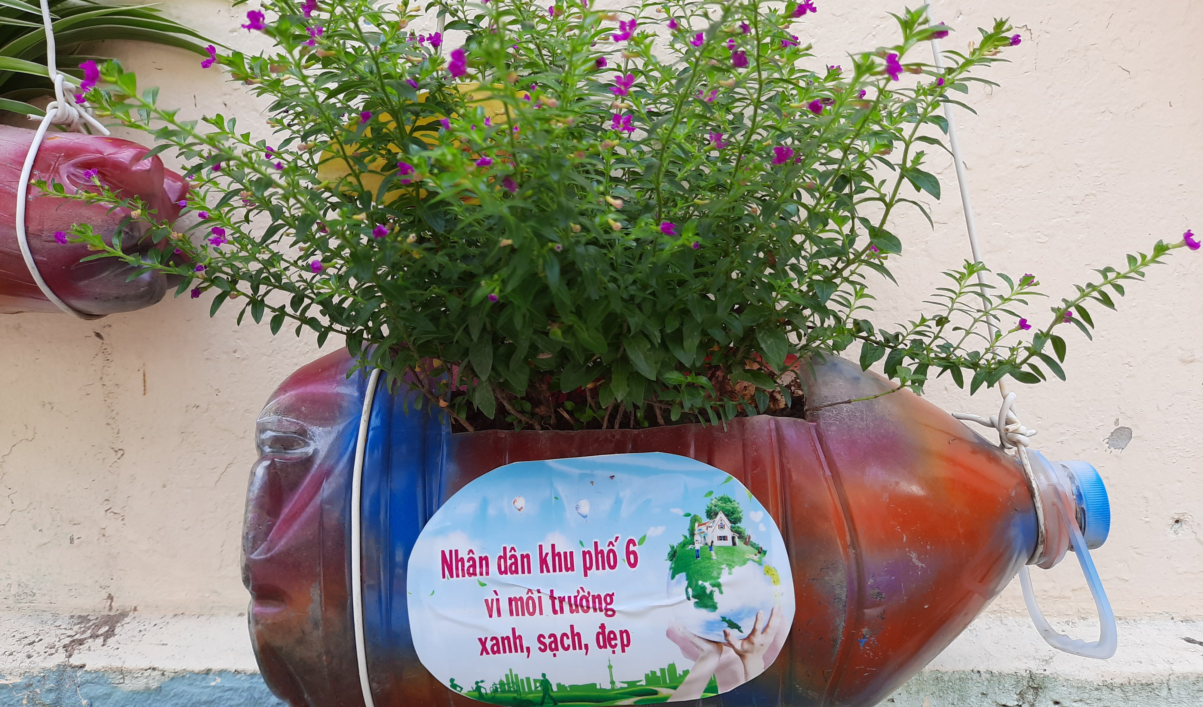Sống xanh giữa lòng thành phố