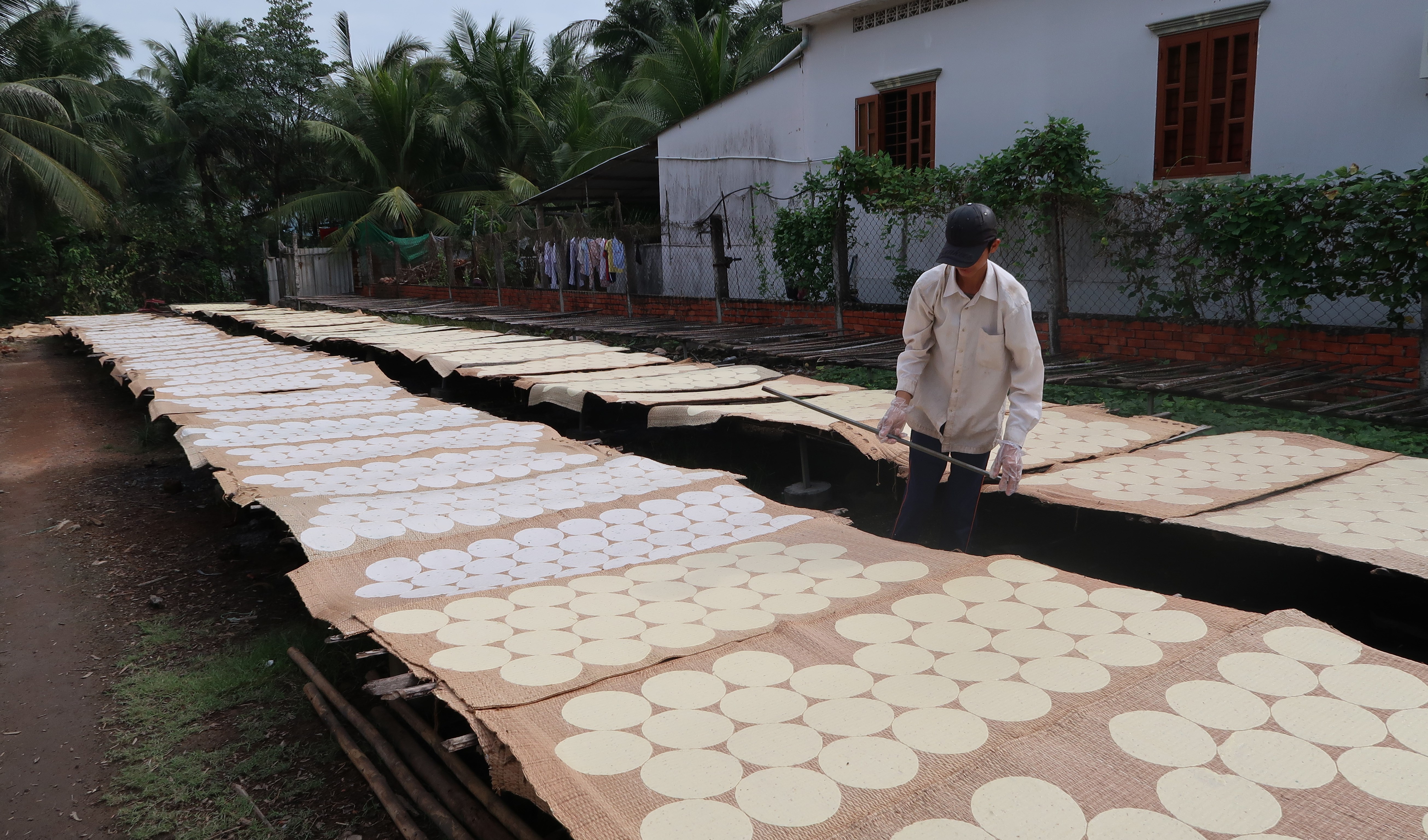 Về làng bánh phồng Sơn Đốc mùa trước tết