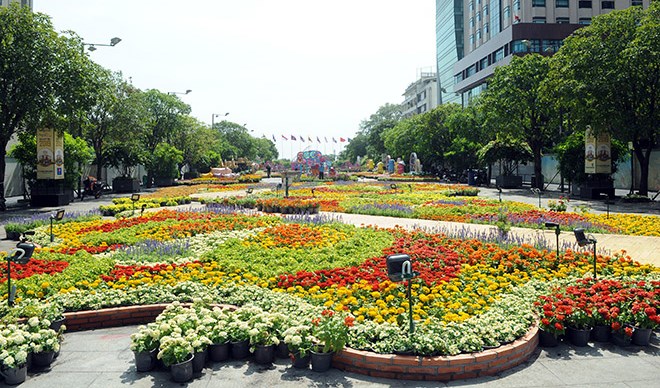 Vui Xuân… một mình