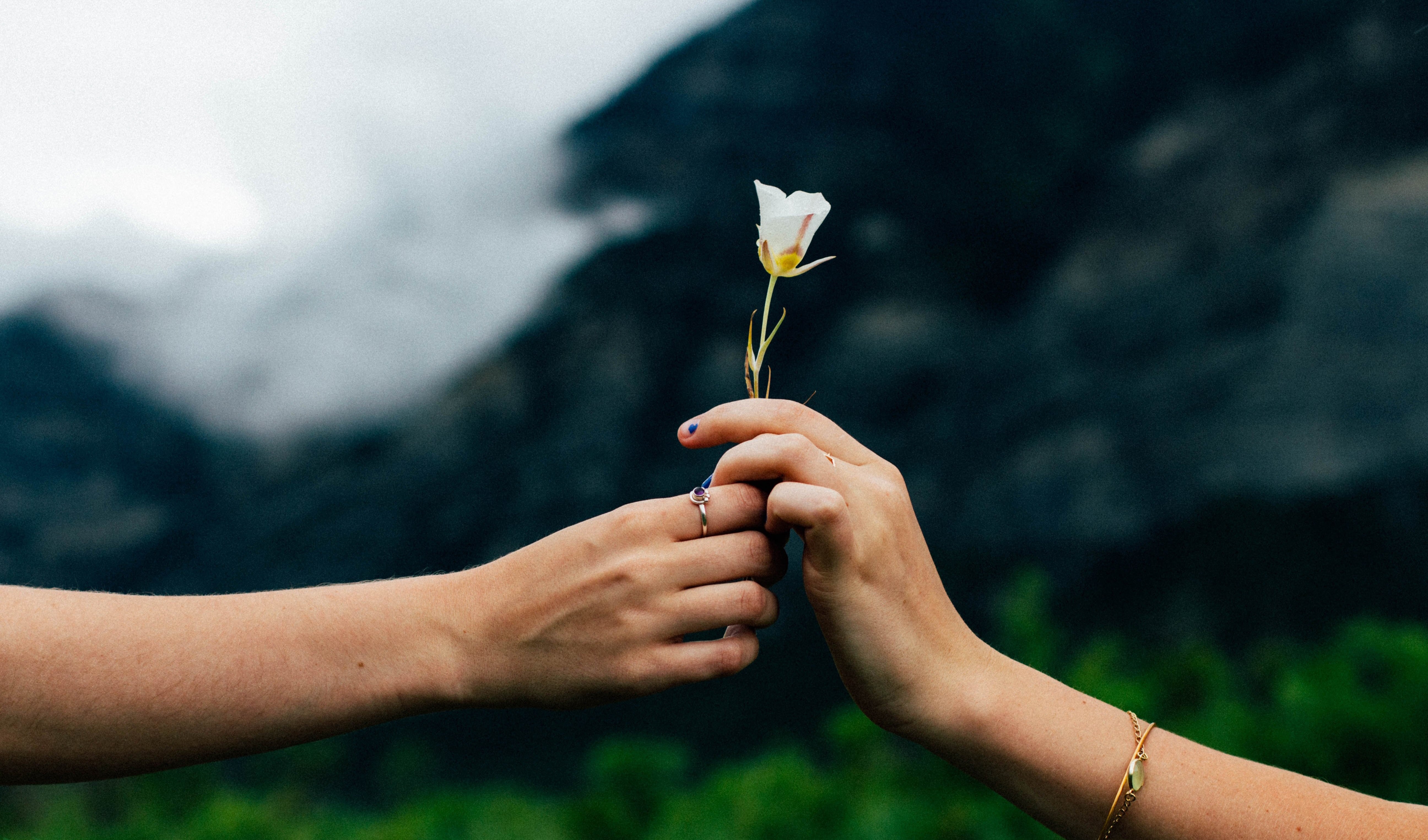 Mùa Chay, nói chuyện tha thứ