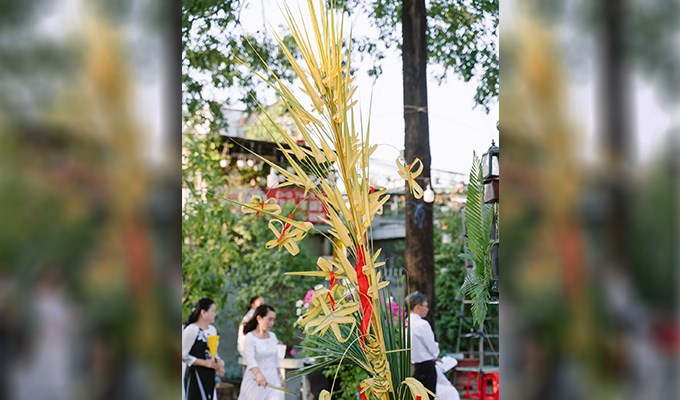 Bàn tay 23 năm kết lá