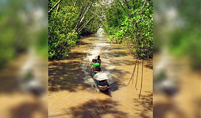 Thử nhìn biến động môi trường từ bán đảo Cà Mau