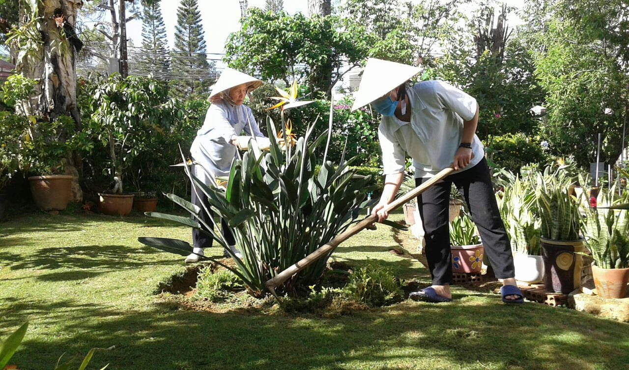 Sống tuần lễ Laudato Si’ 2021