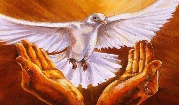 Dịp đầu năm mới này, Đức Mẹ khuyên tôi: hãy xin Chúa Thánh Thần ban cho một ơn đặc biệt đó là ơn khôn ngoan