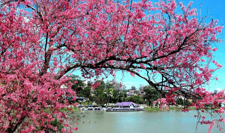 Tết năm nay sẽ có những điều khác