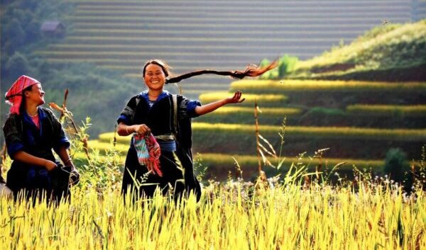 Mục vụ văn hóa Đông Tây