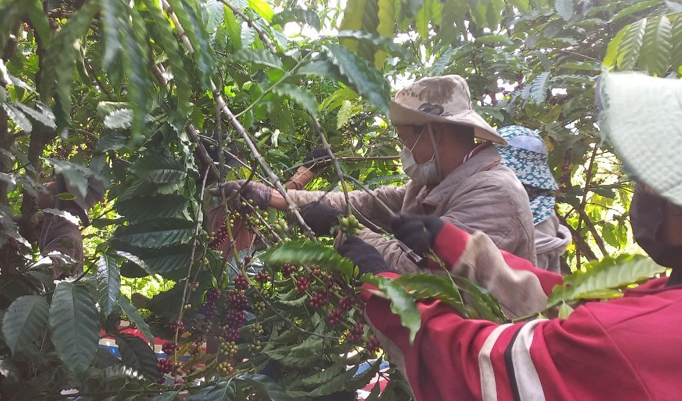 Ði làm thuê góp quỹ