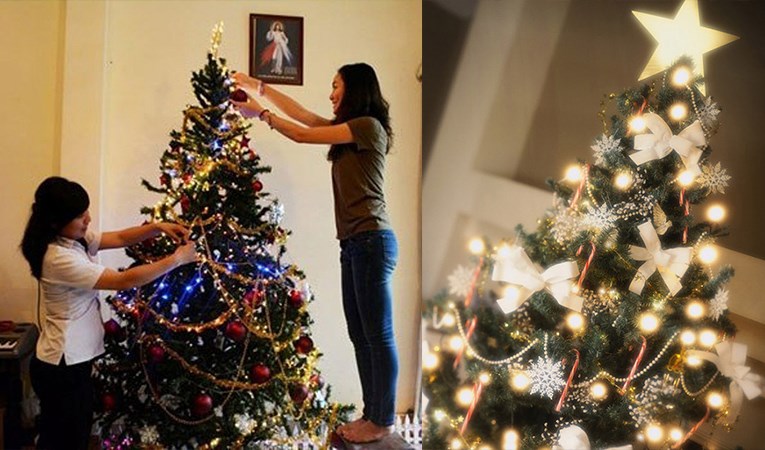 Cả nhà cùng trang hoàng hang đá đón Giáng Sinh