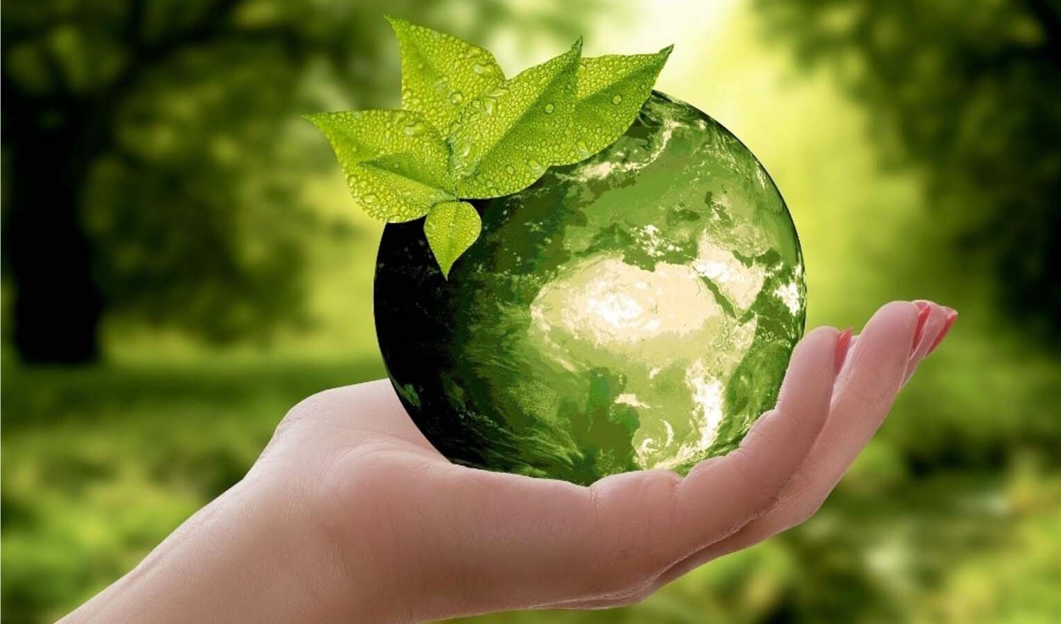 Chăm chút môi trường - môi sinh, phải chăng chỉ là chuyện quay về...?