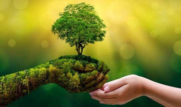 Trách nhiệm với thiên nhiên