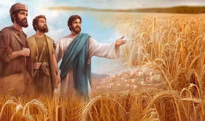 Trở nên tấm bánh cho đời