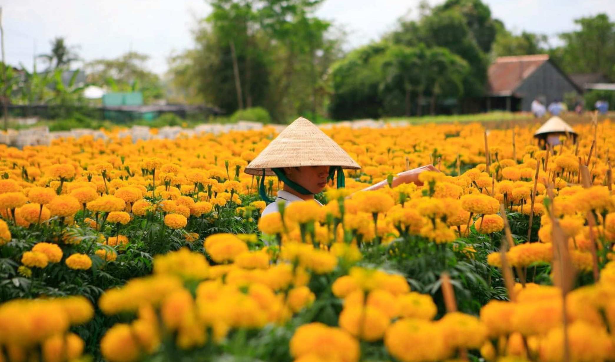 Du xuân