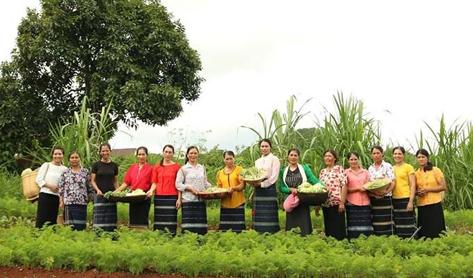 Những bó rau mang tên các mẹ