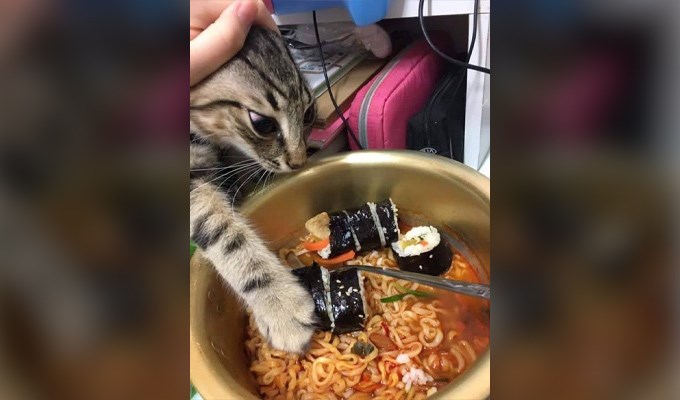 Miếng ăn là miếng tồi tàn