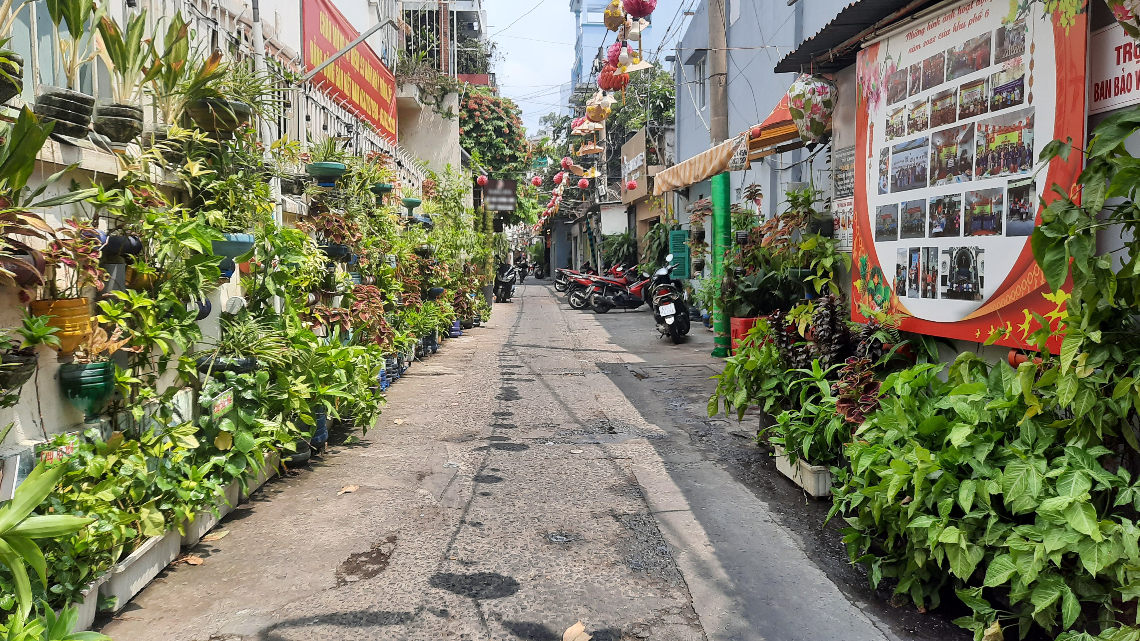 Những mảng xanh giữa lòng Sài Gòn