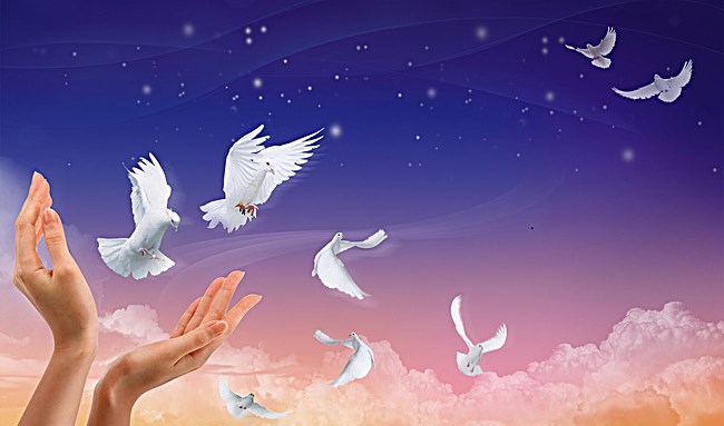 Một vài đề nghị mục vụ...